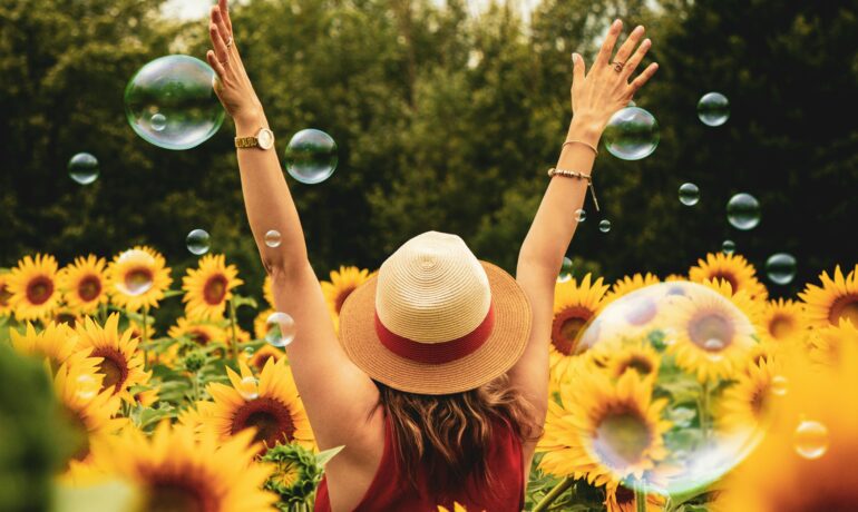 champs de tournesol